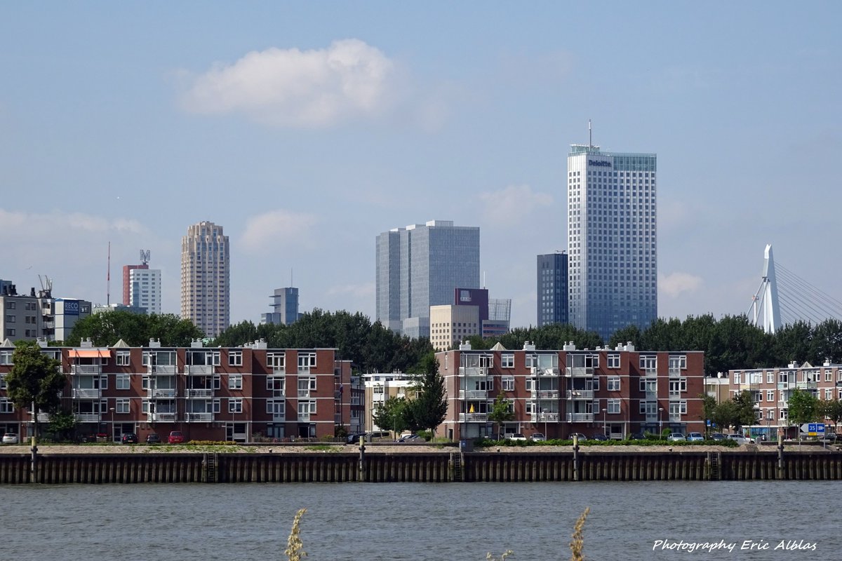 AlblasEric's tweet photo. #goedemorgen (nieuwe)volgers het is dinsdag 21 juli 2020. Uitzicht vanaf de #Plantagelaan richting #Feijenoordkade. Je ziet o.a.#Montevideo, #New_Orleans, #World_Port_Center, #De_Rotterdam, #KPN, #Deloitte, #Euromast en #Erasmusbrug. Fijne Dag &amp; Groet van Eric ! https://t.co/oB6zh4dob2