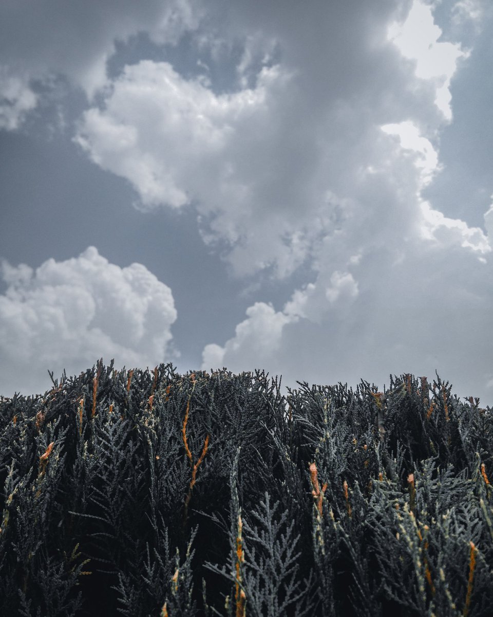 Hassaan64087555's tweet photo. Clouds ❤️❤️❤️
.
.
.
.
@Nikon @petermckinnon @Lightroom @Photoshop 
#Trending #trends #portraitphotography #portrait #pixel #photography #photographer #masterphotographer #masterphotography #mobilephotography #mobilephotographer #masterediting #nature #beautiful #beauty https://t.co/s3dlYodT4w
