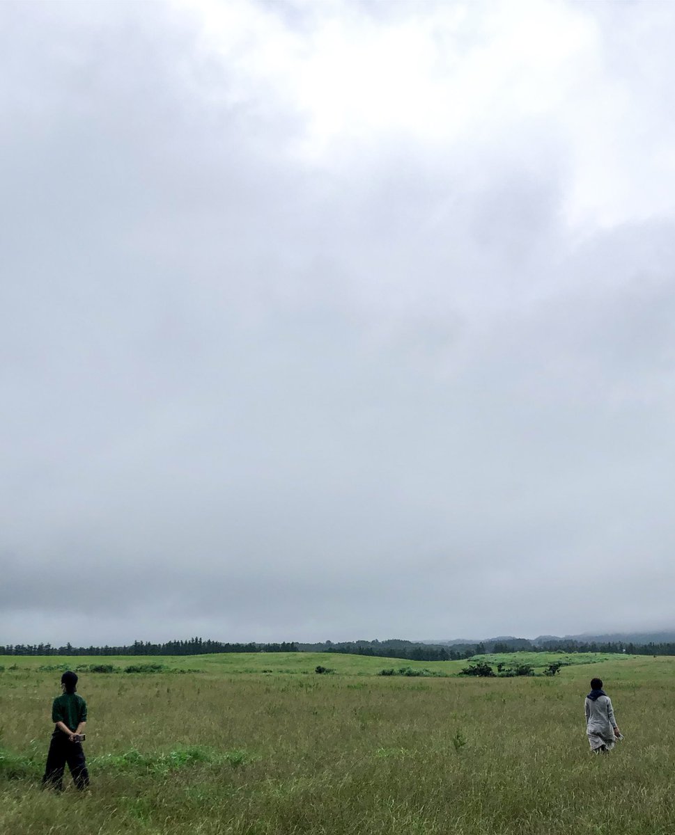 darakband's tweet photo. 수평과 수직이 가지런하고 갖가지 채도의 초록에 둘러싸일 수 있는 제주에 다녀왔다. https://t.co/16CG8ih5wU