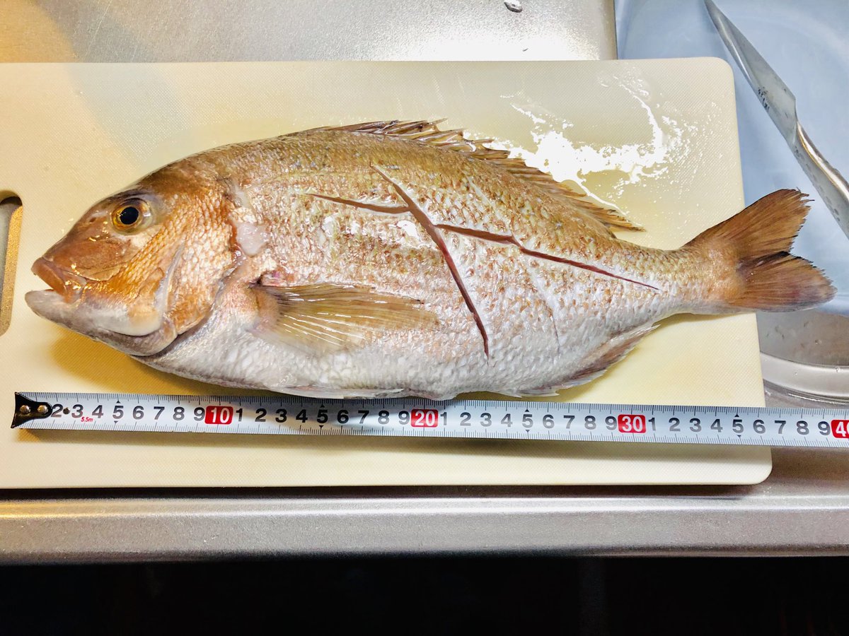ショコラbb もっ鯛ナイ いつぞやに旅館で頂いた鯛蒸し焼きの味が忘れられず 仕入れました 40センチの真鯛 ウロコを取りエラを取りワタを取り さー焼くぞ その時 我が家のフライパンが30センチであると気づく あ 勿体無い 料理は見た目