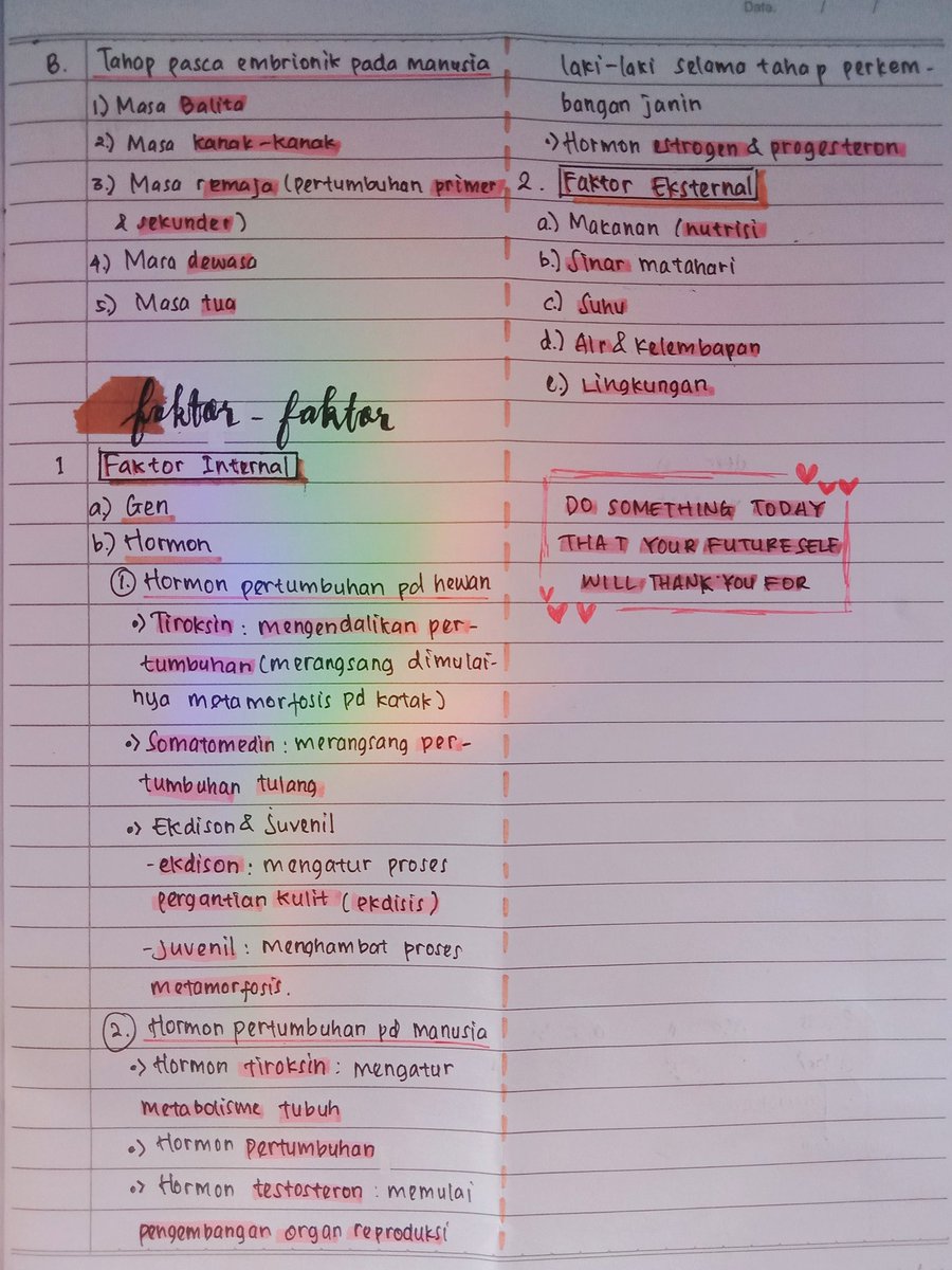 fortunxdaisy's tweet photo. Haiii✨ kali ini aku mau share catatan biologi kelas 12 "Pertumbuhan dan Perkembangan Hewan dan Manusia"👥 Untuk contoh aku tulis hanya sebagian yaa, karena ada banyak😭 semoga bermanfaat🍂 semangat semuanyaa😆💖

Sumber: ppt guru &amp; buku paket biologi penerbit Erlangga🌻 https://t.co/V5g2nwe1EB