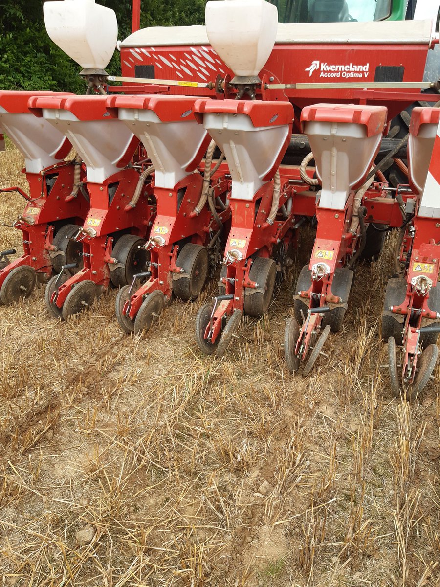 DavidMeallet's tweet photo. Hier matin à la #stationdekerguehennec c'était #SemiDirect de maïs très précoce @advantaFR dans l'essai Cive derrière orge d'hiver @KvernelandGroup https://t.co/WLI8eXXQ13