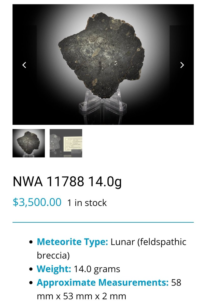 What my featured meteorite looked like at an auction. I have but a small piece! 