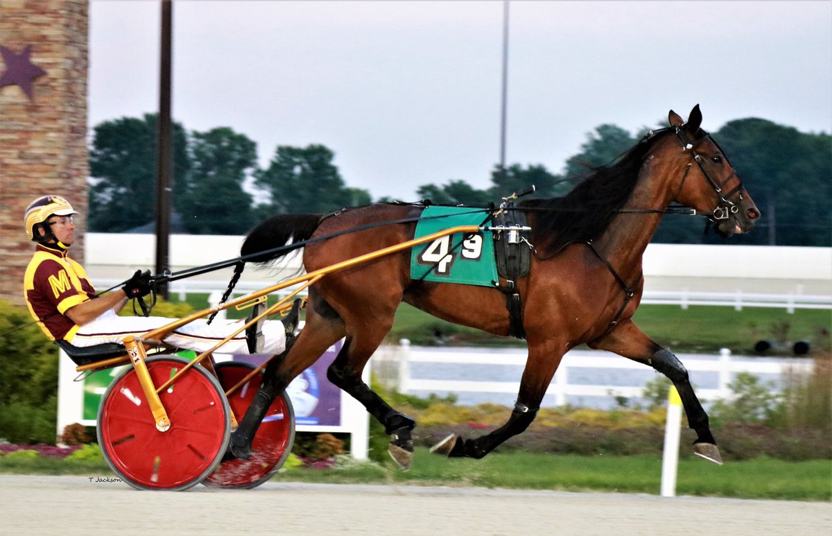 hoosiernations's tweet photo. Good Morning @MacomberJr @triplemracing @Chris_wponies @rebelsart @jtlburn @kimberlymoier @KathleenBaitzel @joe_norte @SadandSulk @BradA53472906 @KerriLT17 @JoanSpe77536971 @vnssa926 @dolenski_john @JoannKi32885615 @INStandardbred @HoP_Racing #ConwayKellyanne #RickyMacomber https://t.co/if4JdfprZN