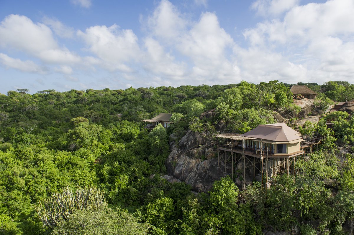 tailoredventure's tweet photo. East Africa is opening up! Enjoy this luxury safari at Mwiba Lodge in Tanzania. Contact us for a personalized itinerary.

#eastafrica #tanzania #postcovid19 #luxurytravel #Africa #africatravel #ChooseAfrica #traveldreams https://t.co/fkGM8fUSej