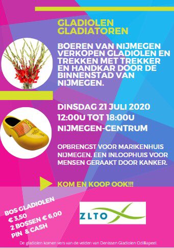 Boeren check! Gladiolen check! Goede doel check! De boeren van Nijmegen zijn klaar voor de gladiolenactie vandaag in de Nijmeegse binnenstad. Ze trekken met koe en kar rond en verkopen gladiolen (3,50euro per bos) voor het goede doel. Kom en koop ook! <a href="/DeGelderlander/">De Gelderlander</a> <a href="/RN7Online/">RN7</a>