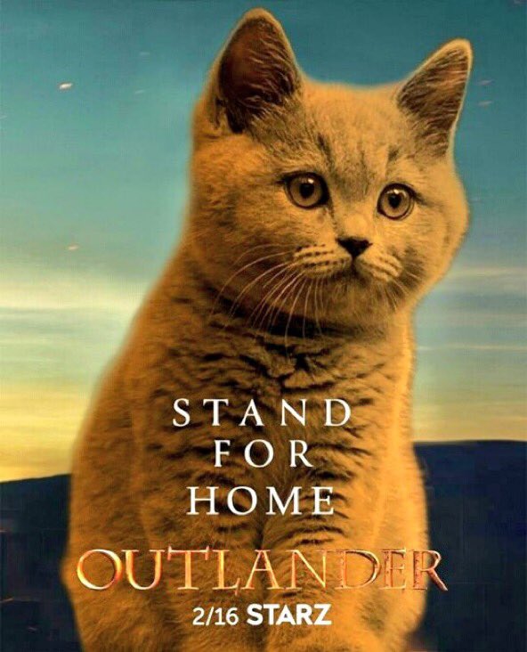 Goddestofhunt's tweet photo. @SanneBorsti @elke5180 @DutchSassenach @stevie76 @brittafahl70 @10MinDQ @Safer_Place @LuckeyLass @LallyFawn @SamfromSpain @kiyo_1968 @Beannexx @danielalippke @sutto15 @birgit_gerach @swimmer84189399 @1sa3 @wrightPG23 @witchofgric @myrios9 @GHJNancy @Faby_Bravo @BernadetteClaxt @OutlanderHome @LynHewitson @sorsha22 @TBursoni @SamHeughan @caitrionambalfe Moin Moin Susanne 🙋🏻🇩🇪💕 Happy #TFTSC and beautiful Tuesday 🤗 Lovely edit https://t.co/Q6YrqNGQWf