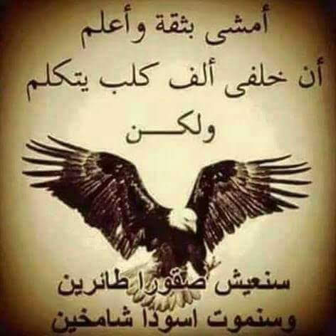 elsaidk1's tweet photo. @q4VtM3tdm0zoIVG @ashraaf_alsaad https://t.co/1gTI3i6Uw7