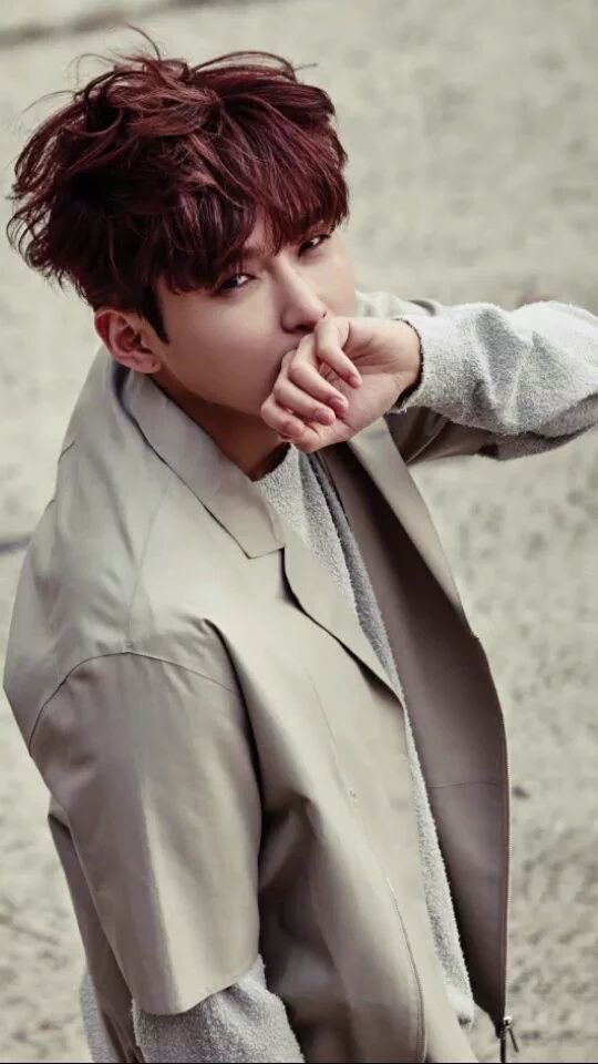 Ryeowook (Kim Ryeowook)Born: 1987.06.21-Tiny but will fight-Loves giraffes-An powerful singing voice-Does the best highnotes-Savage -Unintentionally cute-Cares for his members a lot-He has two solo albums