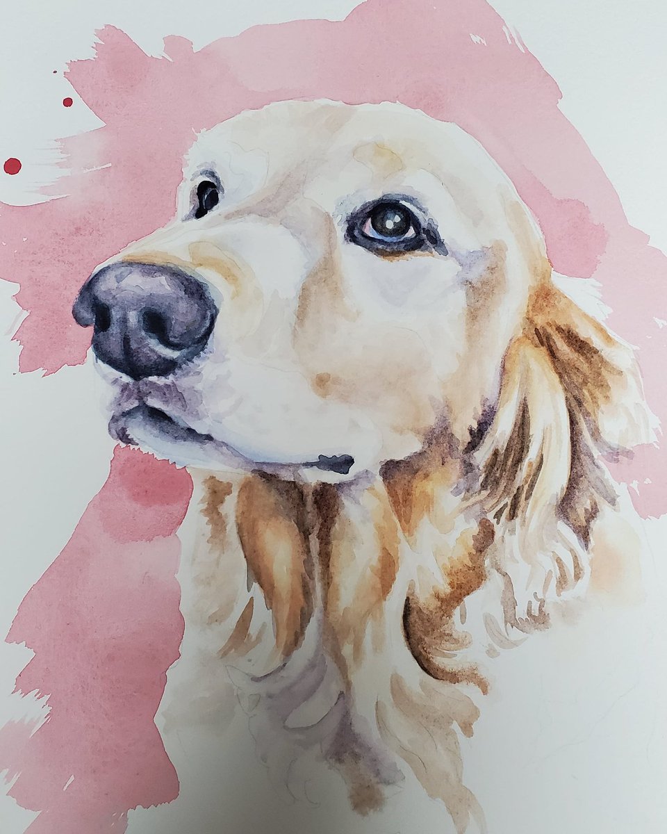 artful_turkey's tweet photo. More work on this pup for a viewer.
. 
Check me out at https://t.co/9DiRtShZlq
.
.
.
.
#art #artists #animals #watercolour #watercolorart #twitch #twitchstreamer #Streamer #stream #paintings #painting #portraitpainting #portrait #DogsofTwittter #dogs #commissions https://t.co/ddHexJCLKH