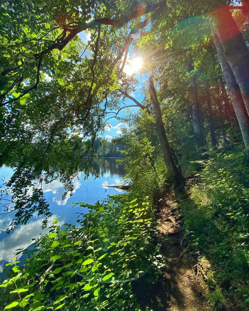 schneeengel's tweet photo. Drüben bei Instagram: Am #Hackensee kann man ohne Probleme auf Abstand gehen. Und wenn man mal wen trifft, dann grüßt man sich freundlich. 😍🥰☀️🌳 ⠀
#holzkirchen #oberbayern #munich #waterscape #lakephotography #lakeview #deutschland #germany #igersmuc #igersmunich #instam… https://t.co/XdtwxTaBBR