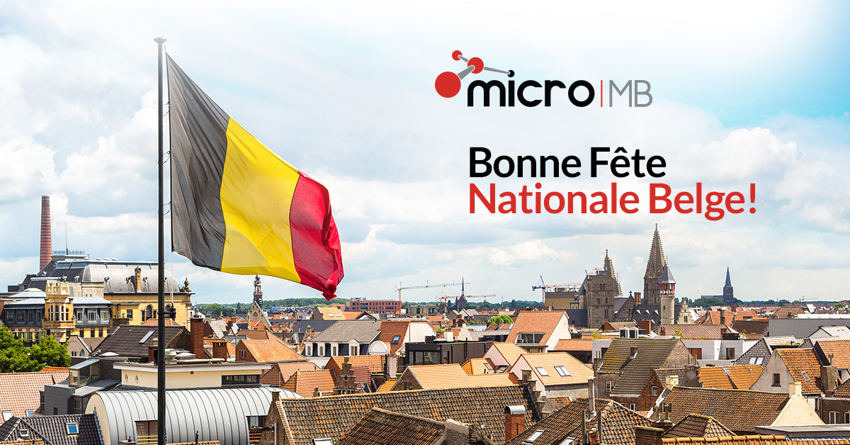 MicroMBBrand's tweet photo. Bonne fête nationale à tous les Belges!
Visit our website for more information: https://t.co/unl7krzmfu
#MicroMB #PlasticCompounds #21Juillet #FeteNationale https://t.co/4B1MGy7CC6