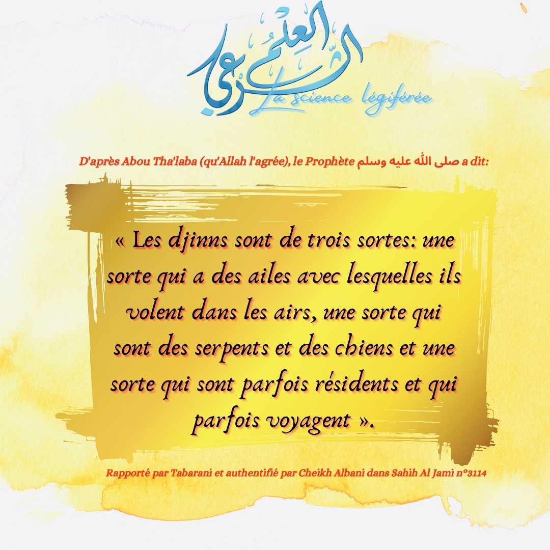 العلم الشرعي - La science légiférée tweet media