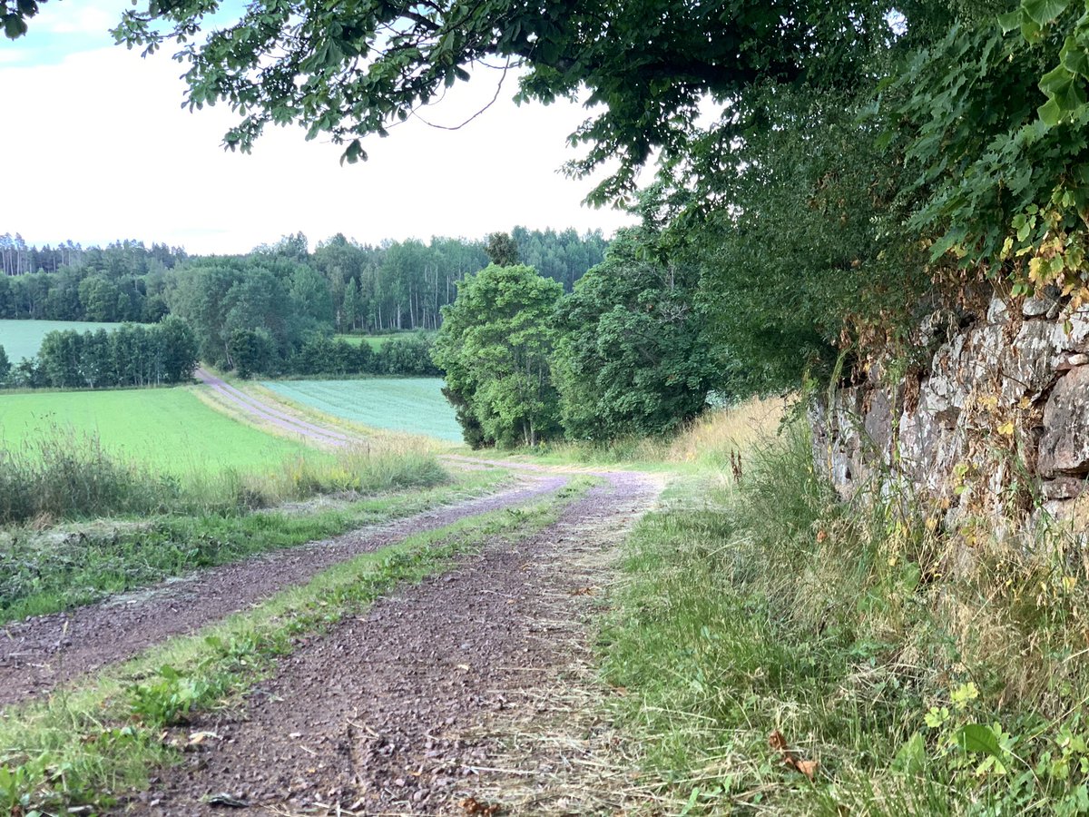 HeinonenPerttu's tweet photo. @JanneHolmen maratonprogram testat i en originalmiljö. Gick bra! https://t.co/VwRqczvdS6