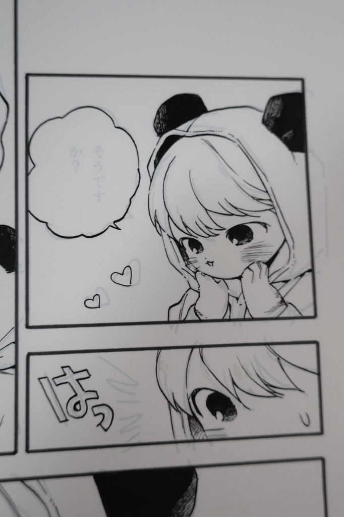 ペン入れ? 