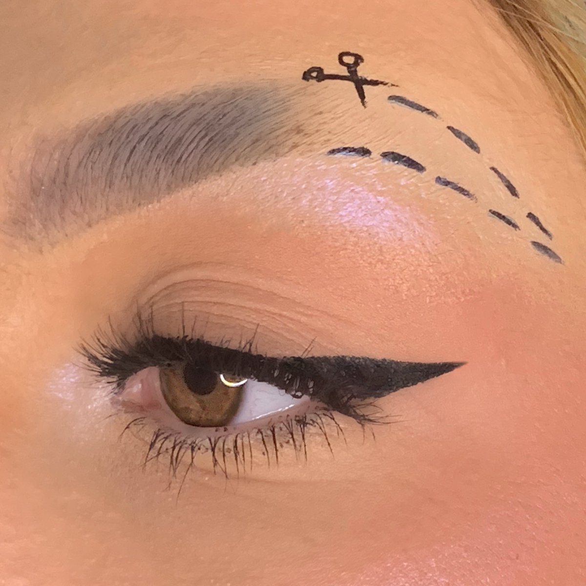 emilyyxmua's tweet photo. cut on the dotted line✂️ https://t.co/vT8g6PNwFr
