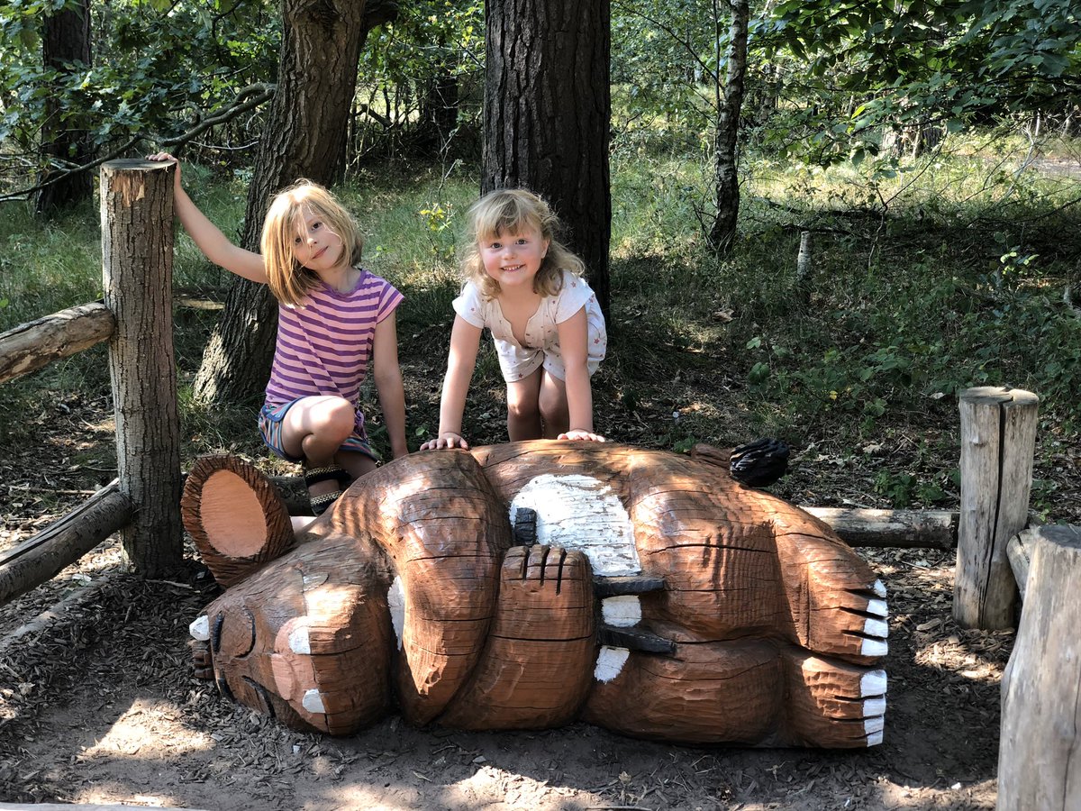 Post harvest break to Norfolk. I’d never have caught this absolute monster of a sea bass. Strangely  @GWR were not interested.