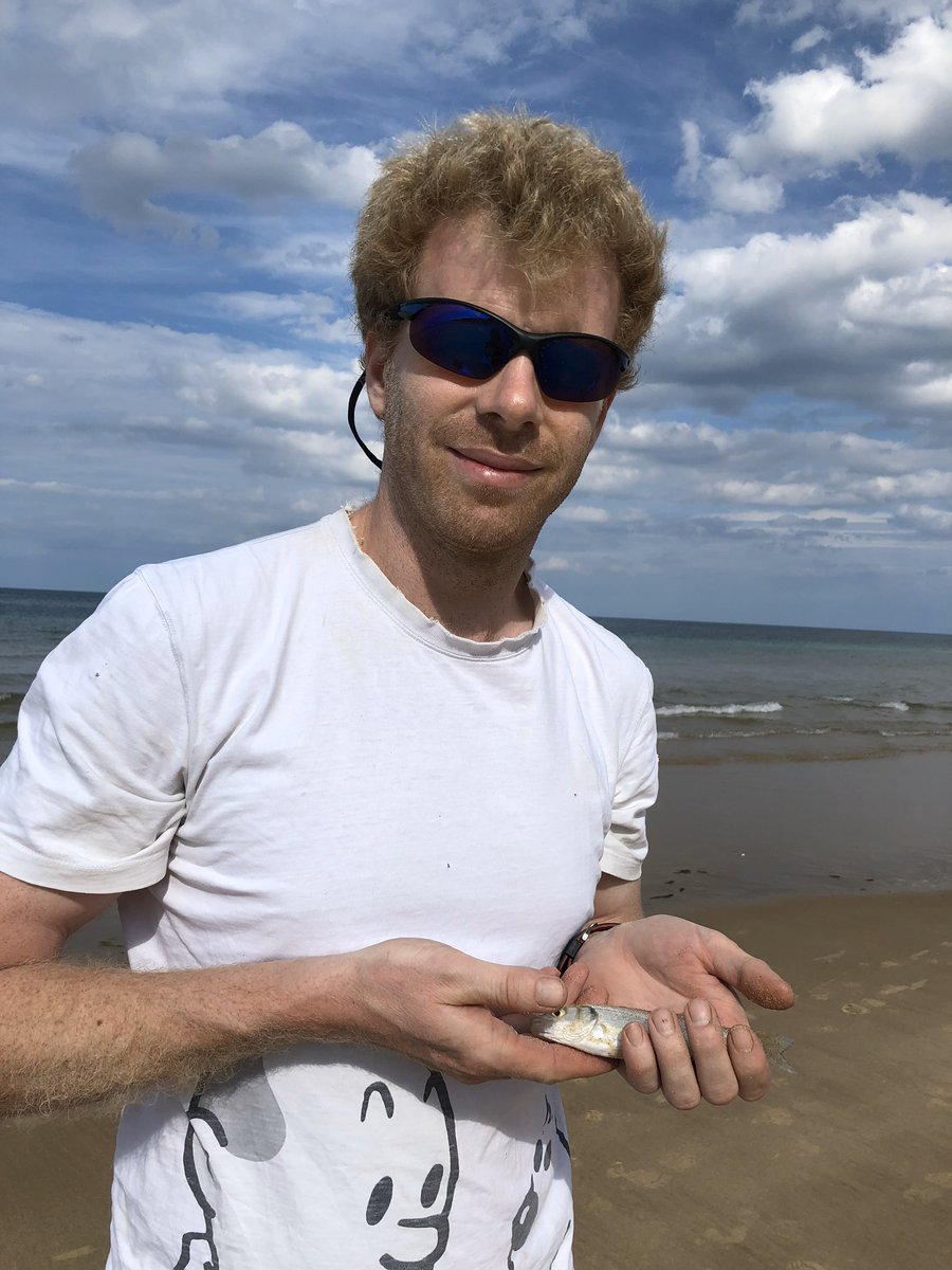 Post harvest break to Norfolk. I’d never have caught this absolute monster of a sea bass. Strangely  @GWR were not interested.