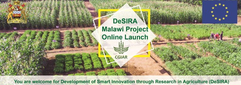 IFPRIMalawi's tweet photo. #TMRW Jul 22, @10:00am CAT: DeSIRA #Malawi online project launch
Facebook live stream➡️https://t.co/Jg2qgyhgwx
#EU4ClimateChange #EUGreenDEAL #research
@Cipotato @capacity4dev @CIRAD @BiovIntCIAT_eng @ICRAF @IFPRI @IITA_CGIAR @CIMMYT @WorldFishCenter @ICRISAT @UniversiteLiege https://t.co/r2vtV9I5mM