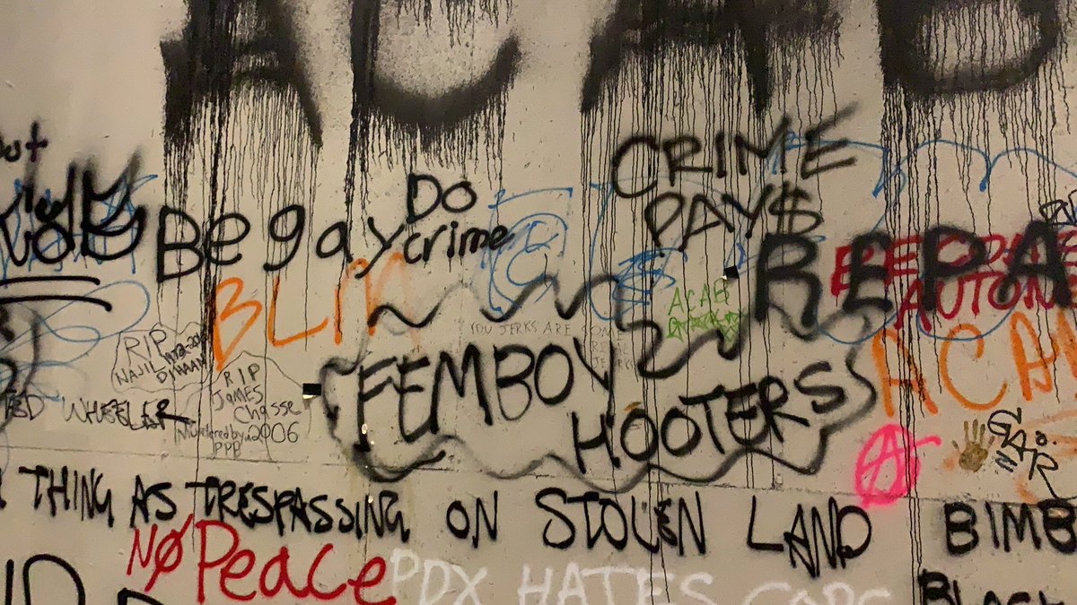 If you’re just tuning in, the federal courthouse is completely covered in graffiti, and has been for many weeks. You may have seen  @DHS_Wolf talk about “violent anarchists” doing graffiti on federal property? This is what he’s talking about. This is why feds are here, I guess.