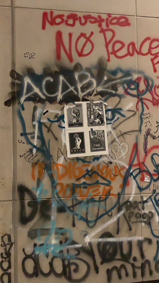 If you’re just tuning in, the federal courthouse is completely covered in graffiti, and has been for many weeks. You may have seen  @DHS_Wolf talk about “violent anarchists” doing graffiti on federal property? This is what he’s talking about. This is why feds are here, I guess.