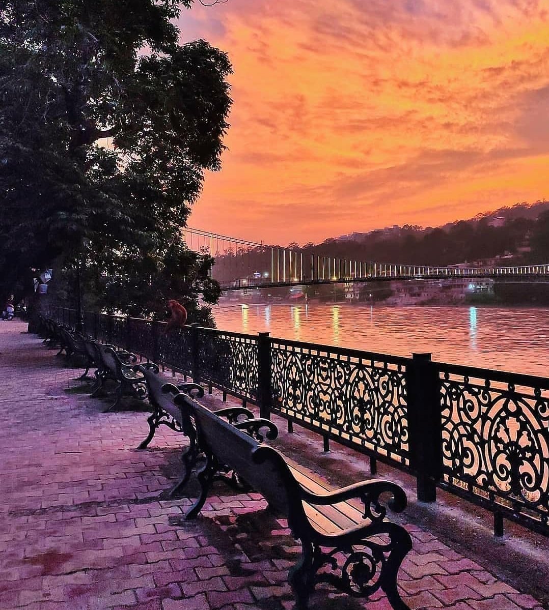 iTouristBaba's tweet photo. View😍
Follow @iTouristBaba
#rishikesh #uttarakhand #rishikeshofficial #india #heaven #heavenonearth #indiatourism #incredibleindia #nature  #explore #travel #travelphotography #travelblogger #traveling #travelgram #traveler #travelguide #travelholic #travelcommunity #travelindia https://t.co/ei9rsBlb6v