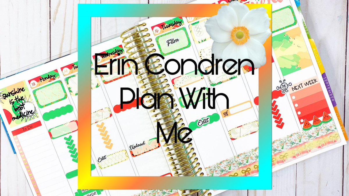 ppp4u's tweet photo. Check out my Plan With Me in my @ErinCondren planner using a kit from Planning Made Easy! Here is the link: https://t.co/iARYYabQen #planner #plannercommunity #plannerstickers #planningmadeeasy #planning #planwithme #planneryoutube #erincondren #ecsquad https://t.co/r70X24AA1D
