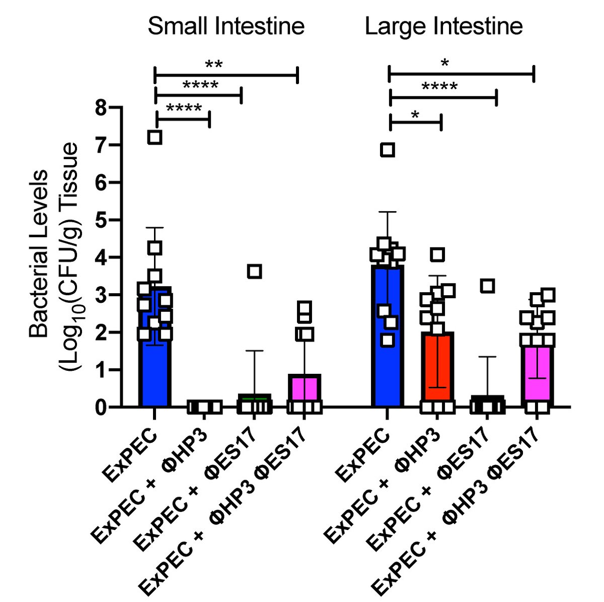 And this phage kills really well in a  gut by the way. This time we added 10X more phage than the last experiment. Only 1 mouse had ExPEC in their gut when treated with ES17.