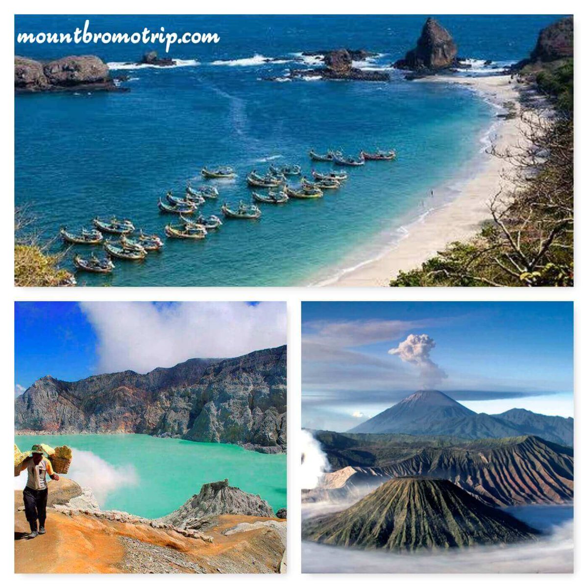 mountbromotrip's tweet photo. https://t.co/qKEYuG5k1s
Papuma, Ijen Crater, Mount Bromo tour package has 4 days 3 Nights duration from Surabaya International Airport, Malang or possible from Banyuwangi #papumabeach #ijencrater #mountbromo #volcano #mountain #hiking #tourpackage #mountbromotrip https://t.co/Kjye0KUK4s