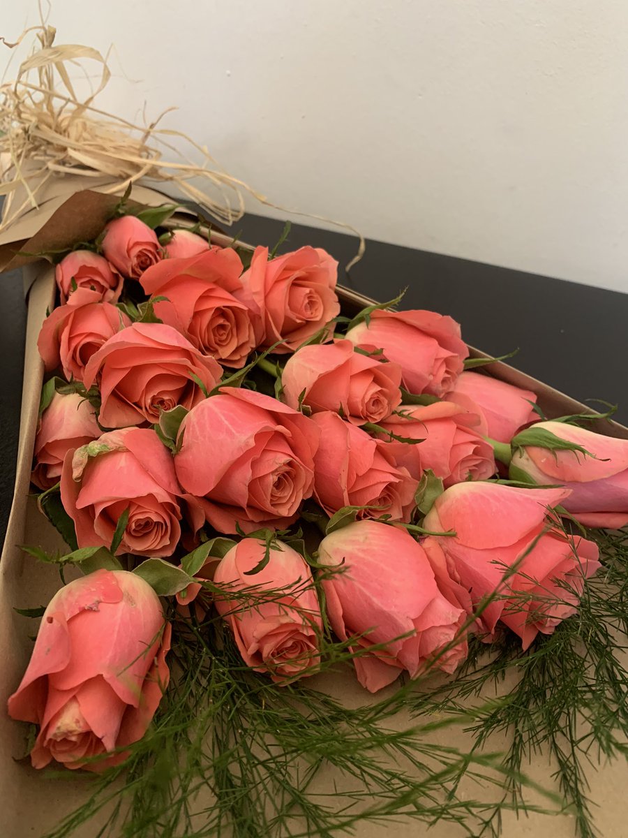 bogangstudio tweet media