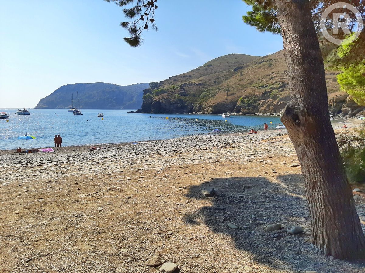 VisitRoses's tweet photo. Bon dia des de Cala Jóncols! ¡Buenos días desde Cala Jóncols! Bonjour de Cala Jóncols! Good morning from Cala Jóncols! Guten Morgen von Cala Jóncols! Goedemorgen van Cala Jóncols! Buongiorno da Cala Jóncols! ☀👒

@costabrava @catexperience @cami_de_ronda @naturalocal https://t.co/czUB0JbrlL