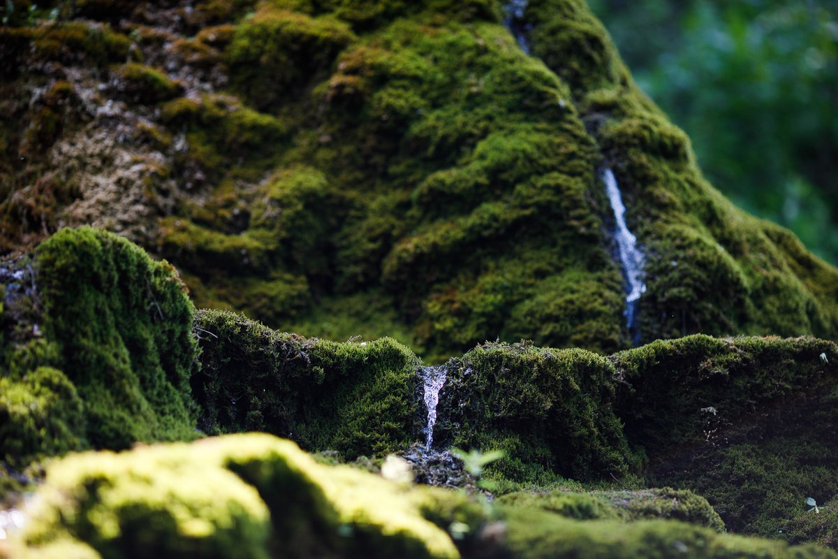 4/16 Artificial waterfall next to Poiana village may be arranged to attract more visitors, with  @eu_near support. For that, your vote is needed. Let us preserve  #culturalheritage &  #DiscoverMoldova! https://bit.ly/3hkrMTT&nbsp;