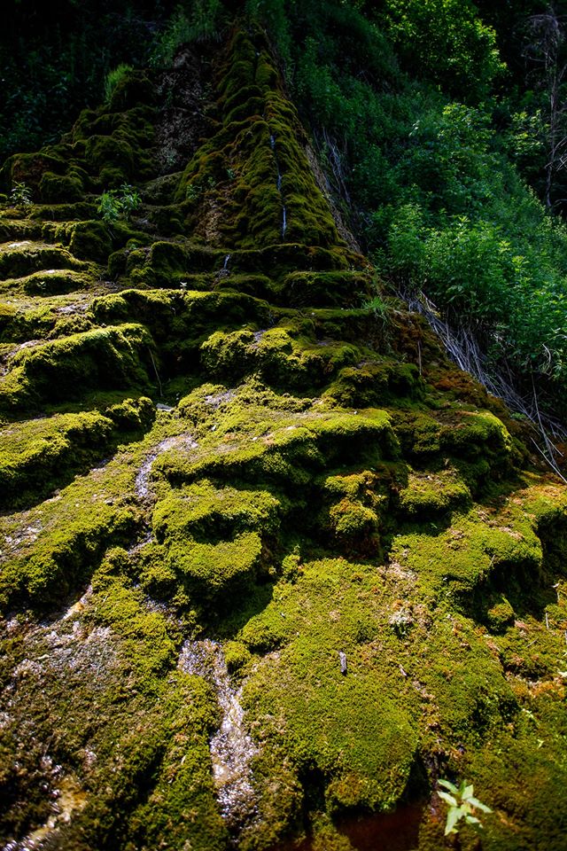 4/16 Artificial waterfall next to Poiana village may be arranged to attract more visitors, with  @eu_near support. For that, your vote is needed. Let us preserve  #culturalheritage &  #DiscoverMoldova! https://bit.ly/3hkrMTT&nbsp;
