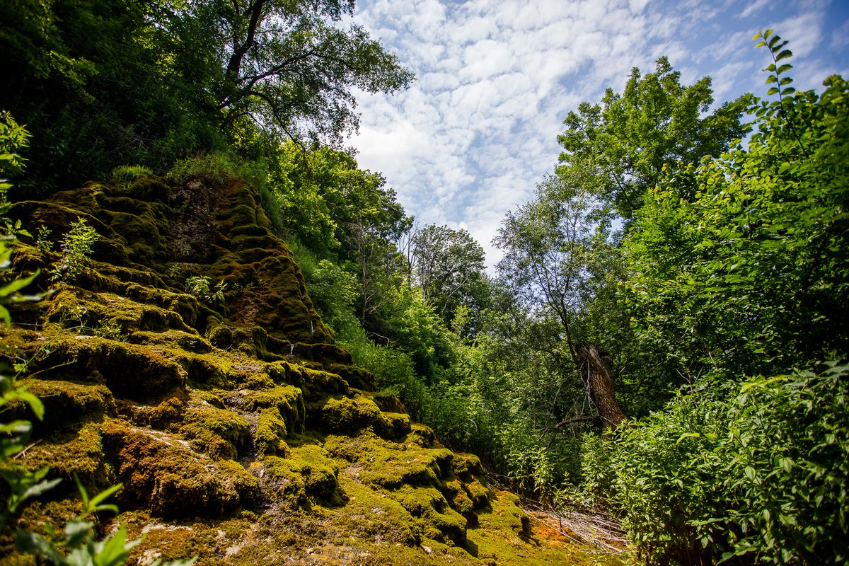 4/16 Artificial waterfall next to Poiana village may be arranged to attract more visitors, with  @eu_near support. For that, your vote is needed. Let us preserve  #culturalheritage &  #DiscoverMoldova! https://bit.ly/3hkrMTT&nbsp;
