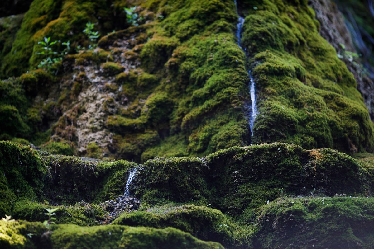 4/16 Artificial waterfall next to Poiana village may be arranged to attract more visitors, with  @eu_near support. For that, your vote is needed. Let us preserve  #culturalheritage &  #DiscoverMoldova! https://bit.ly/3hkrMTT&nbsp;