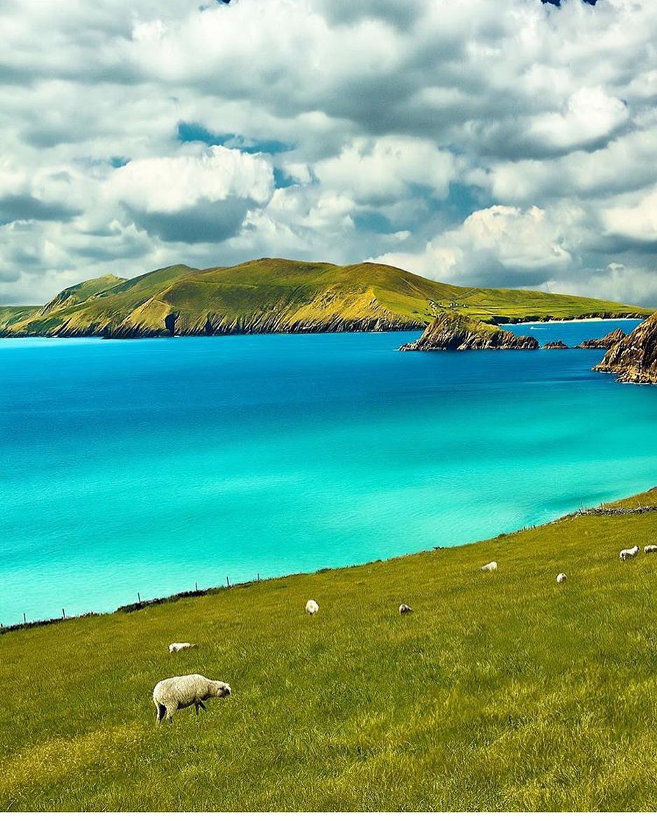 irelandcalling1's tweet photo. Look at the colour of the water. This is the Dingle peninsula taken by @on_an__adventure

#ireland #irelandcalling https://t.co/u2nbzUvnX4