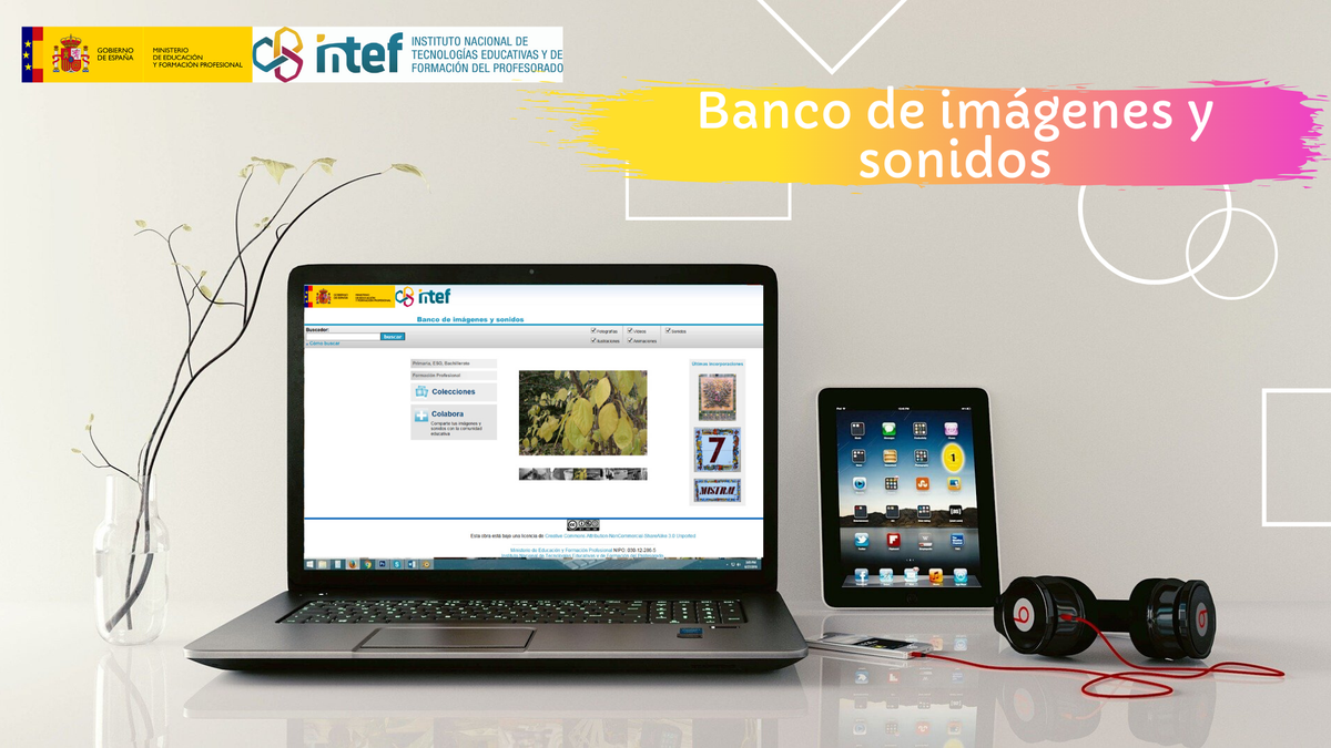 educaINTEF's tweet photo. 🌀 Este verano colabora con el #Bancodeimágenesysonidos y comparte tus fotografías, ilustraciones, vídeos... Se actualiza cada día con nuevos media con licencia #CreativeCommons #RecursosEducativos 

Accede a él desde aquí: https://t.co/tci5TnfZW3 https://t.co/O2JA3WKr9c