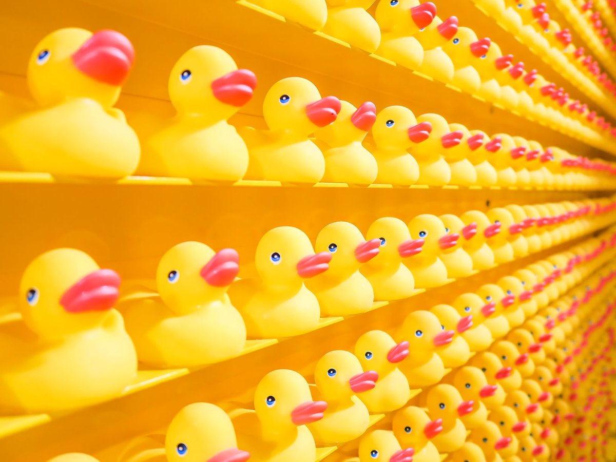 Are late payments driving you quackers? Get your ducks in a row WOWintelligence.com #MachineLearning #apps #latepayments #creditcontrol Try for free!