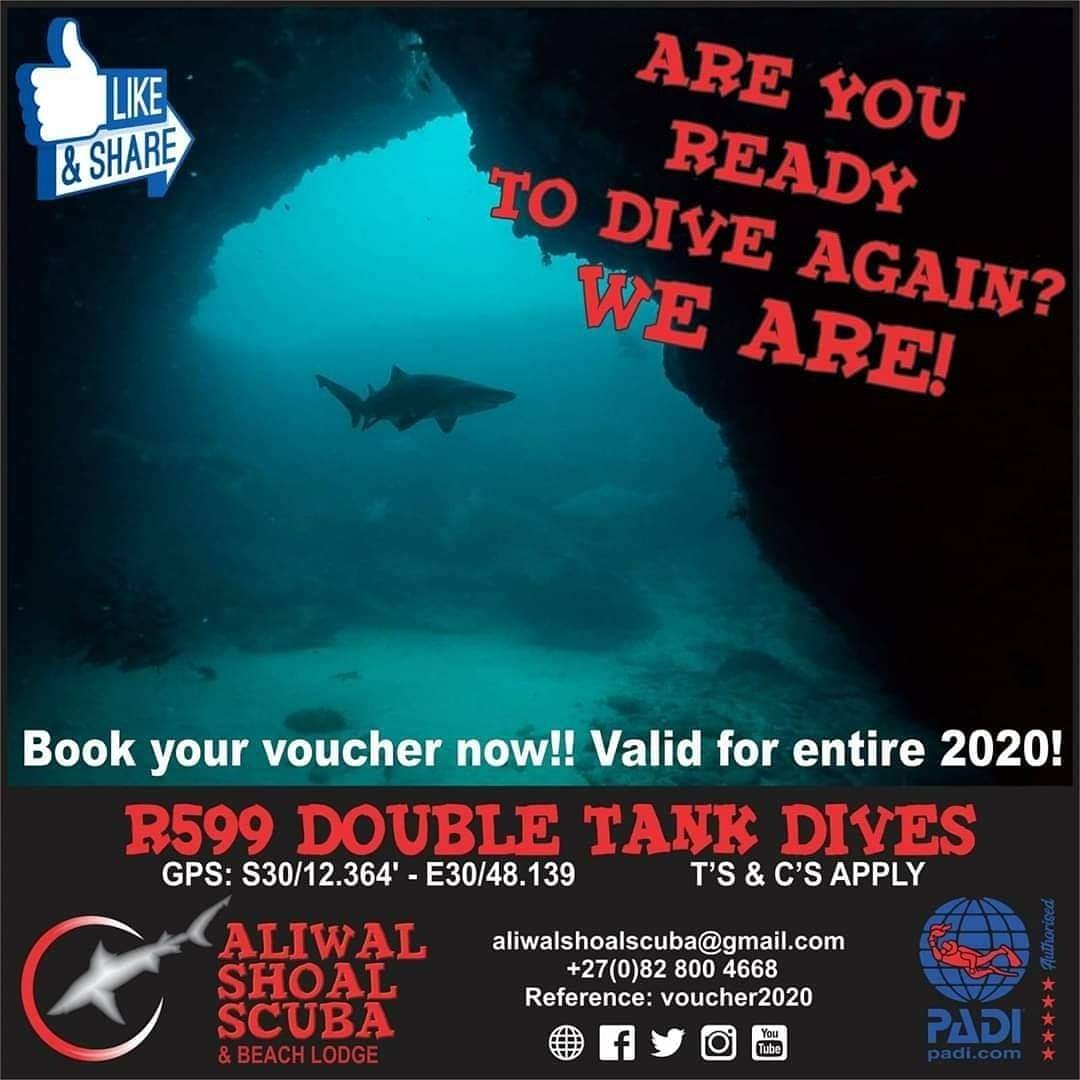 ScubaShaol's tweet photo. Are you ready to dive again?
We are!
BOOK YOUR VOUCHER NOW!
Valid for 2020
R599 Double Tank Dives
Aliwalshoalscuba@gmail.com
https://t.co/rq4wXxkQid
#AliwalShoalScubaCares #DiveReady #2020Dive #DoubleTankDives2020 #WeMissYou #TheOceanIsCallingYou
@EedenMarketing https://t.co/bZjfO6P0IB