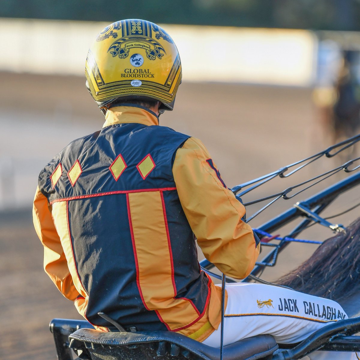 Club Menangle tweet media