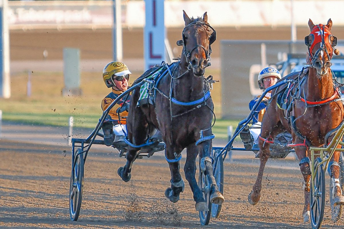 𝐖𝐞𝐝𝐝𝐢𝐧𝐠𝐬 𝐚𝐭 𝐌𝐞𝐧𝐚𝐧𝐠𝐥𝐞 𝐂𝐨𝐮𝐧𝐭𝐫𝐲 𝐂𝐥𝐮𝐛 𝐏𝐚𝐜𝐞 - clubmenangle.com.au/functions/wedd…

🐴 MISTER DONALD (first @CMTrackside win)
𝐓𝐑𝐀𝐈𝐍𝐄𝐑: Craig Cross
𝐃𝐑𝐈𝐕𝐄𝐑: Jack Callaghan 
📹 www-harness-org-au.akamaized.net/nsw/PCC2107200…
