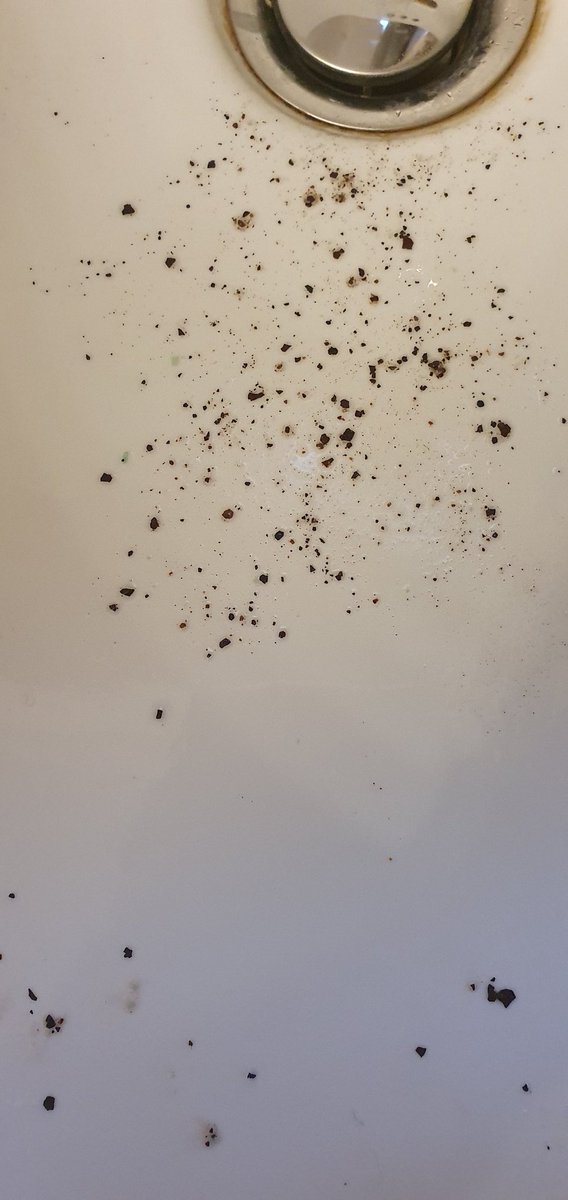 velli_expo's tweet photo. Rubinetto di casa..Roma centro..acquedotto comunale..pezzi di ferro..plastica azzurra..pezzi di alluminio grandi 2mm..Ma che acqua stanno distribuendo? Si potrà ancora bere? L'acquedotto del Peschiera (e l'acqua Marcia) era pulita, ora con Bracciano (e tevere tra poco) che sarà? https://t.co/kElNOf8hKx