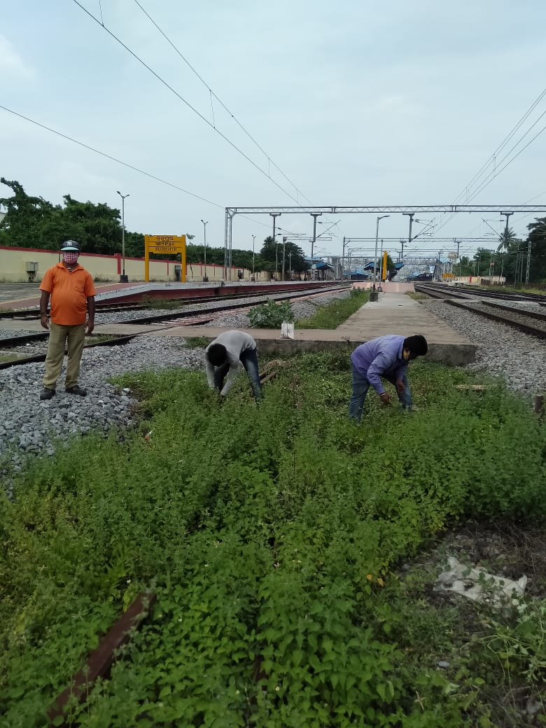 DRMKhurdaRoad's tweet photo. On dt.20.07.2020, Migrant workers engaged under #GaribKalyanRozgarYojana in Jungle cleaning work near Brahmapur Yard  under @eastcoastrail
#COVID19 https://t.co/tLl1AAG5IC