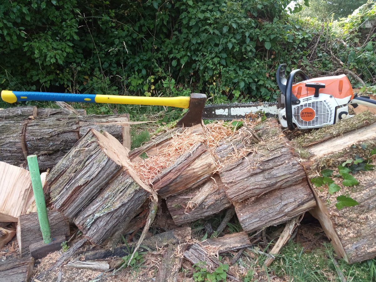 construjard's tweet photo. Stihl VS Machado, haber quen gana.
#timber #wood #forestwork https://t.co/ZuK7lnbXvY