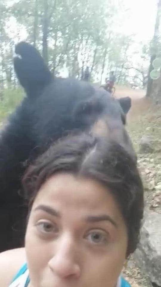 SerLibreMexico's tweet photo. Para quien andaba buscando la famosa selfie del oso 🐻 aquí se las dejo #SelfieOso https://t.co/qcuZHTMs9t