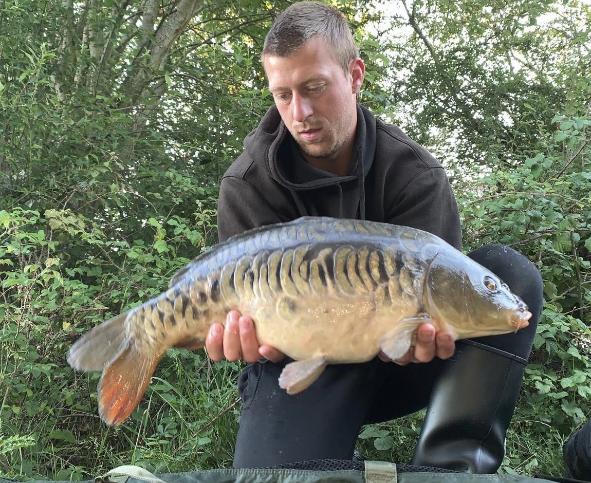 stgeorgeslake's tweet photo. We love updates on the #czechblues..James Gray had a couple at the weekend, this one was stocked at 6 in February, now 10lb+ #carp #carpfishing #leneys https://t.co/IzSSgI0Sdb