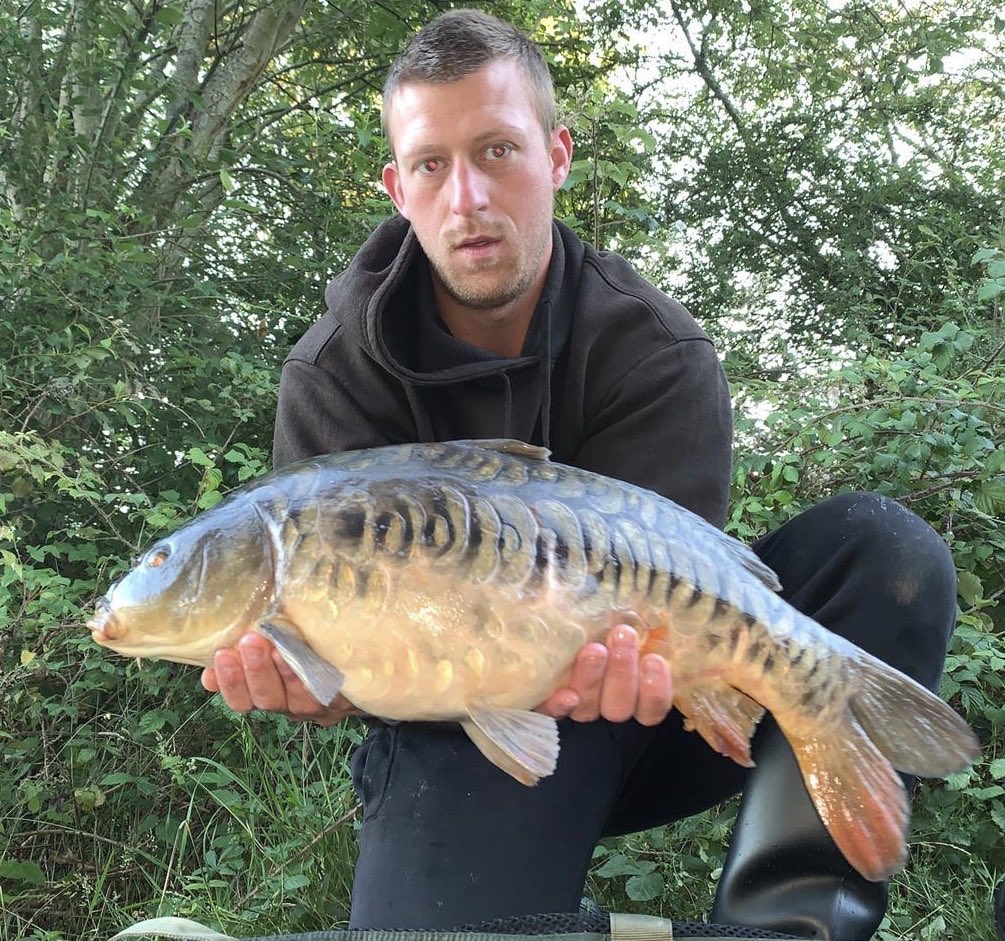 stgeorgeslake's tweet photo. We love updates on the #czechblues..James Gray had a couple at the weekend, this one was stocked at 6 in February, now 10lb+ #carp #carpfishing #leneys https://t.co/IzSSgI0Sdb