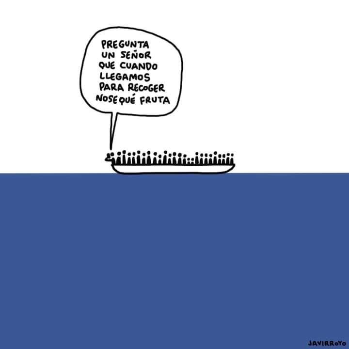 openarms_fund's tweet photo. Las personas. 
La fruta. 
By @javirroyo https://t.co/FVEizbIjOE
