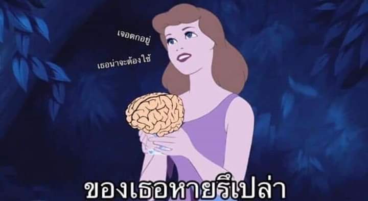 Moon91187271's tweet photo. แนบรูปจ้า https://t.co/QQBiHpWRl4