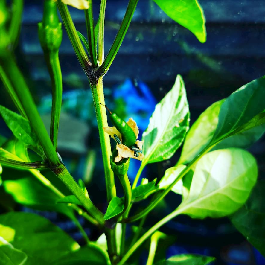 Todd 🦋 toddhalfpenny.com Halfpenny tweet media